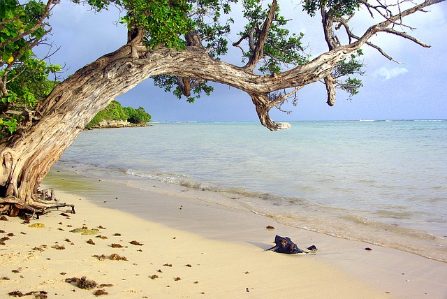 plage en guadeloupe