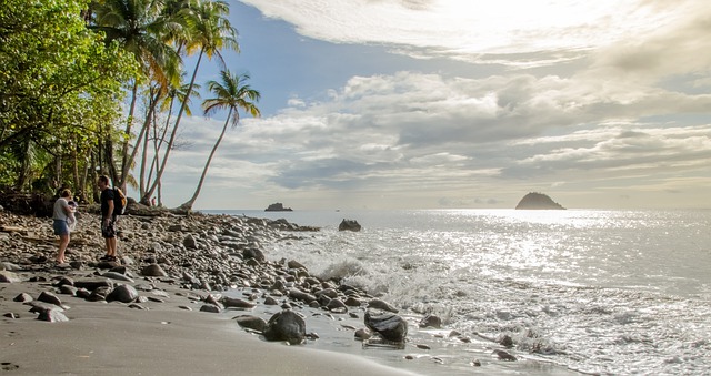 paysage martinique